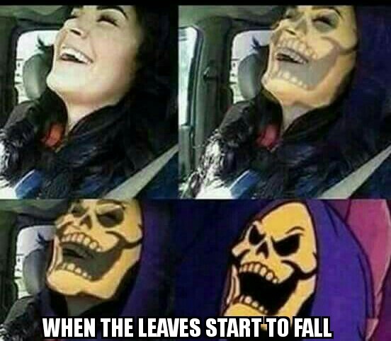 To Spooky - meme