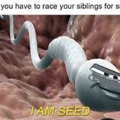 i am seed