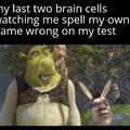 Cursed Shrek meme