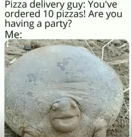 Are you having a party? - meme