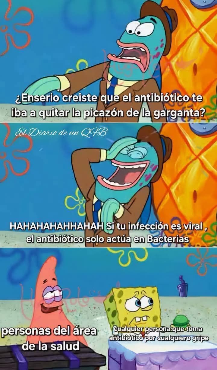 - - meme