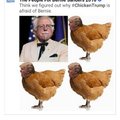 #ChickenTrump