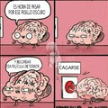 Brain ...