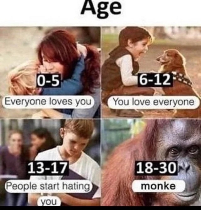 Monke - meme