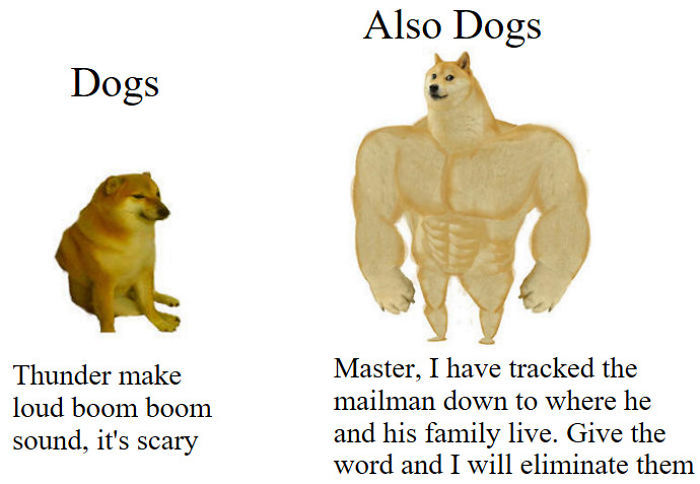 Dogs - meme
