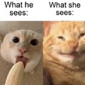 What he sees vs what she sees