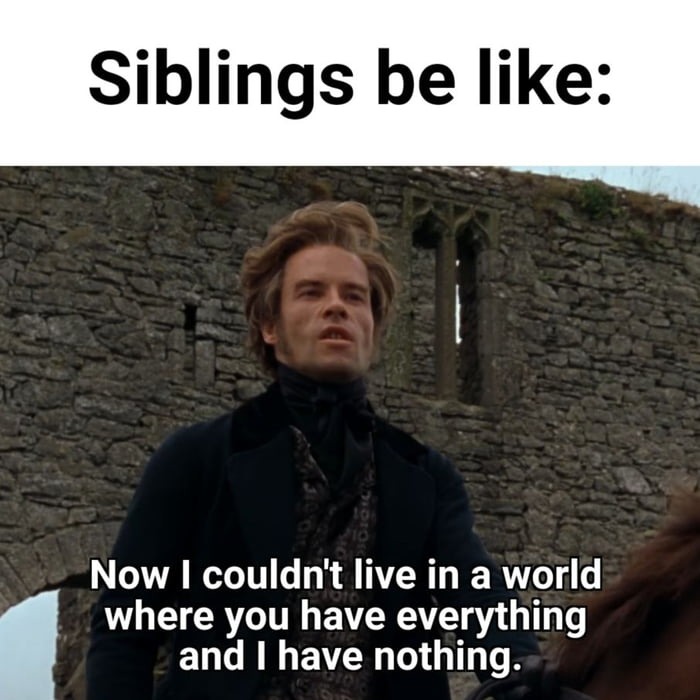 Jealous incompetent siblings - meme