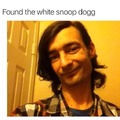 Cursed Snoop