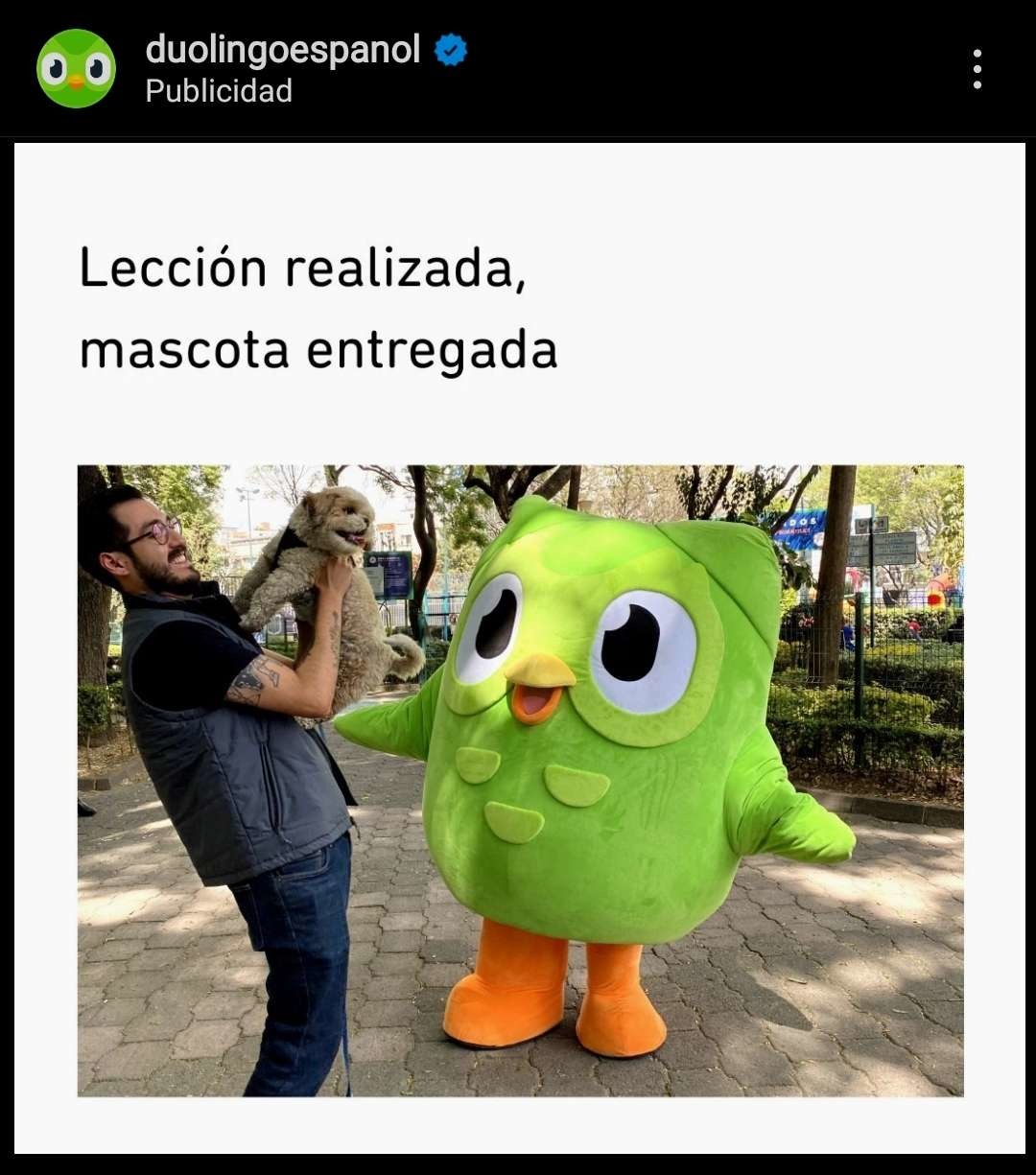 Top memes de Duolingo en español :) Memedroid