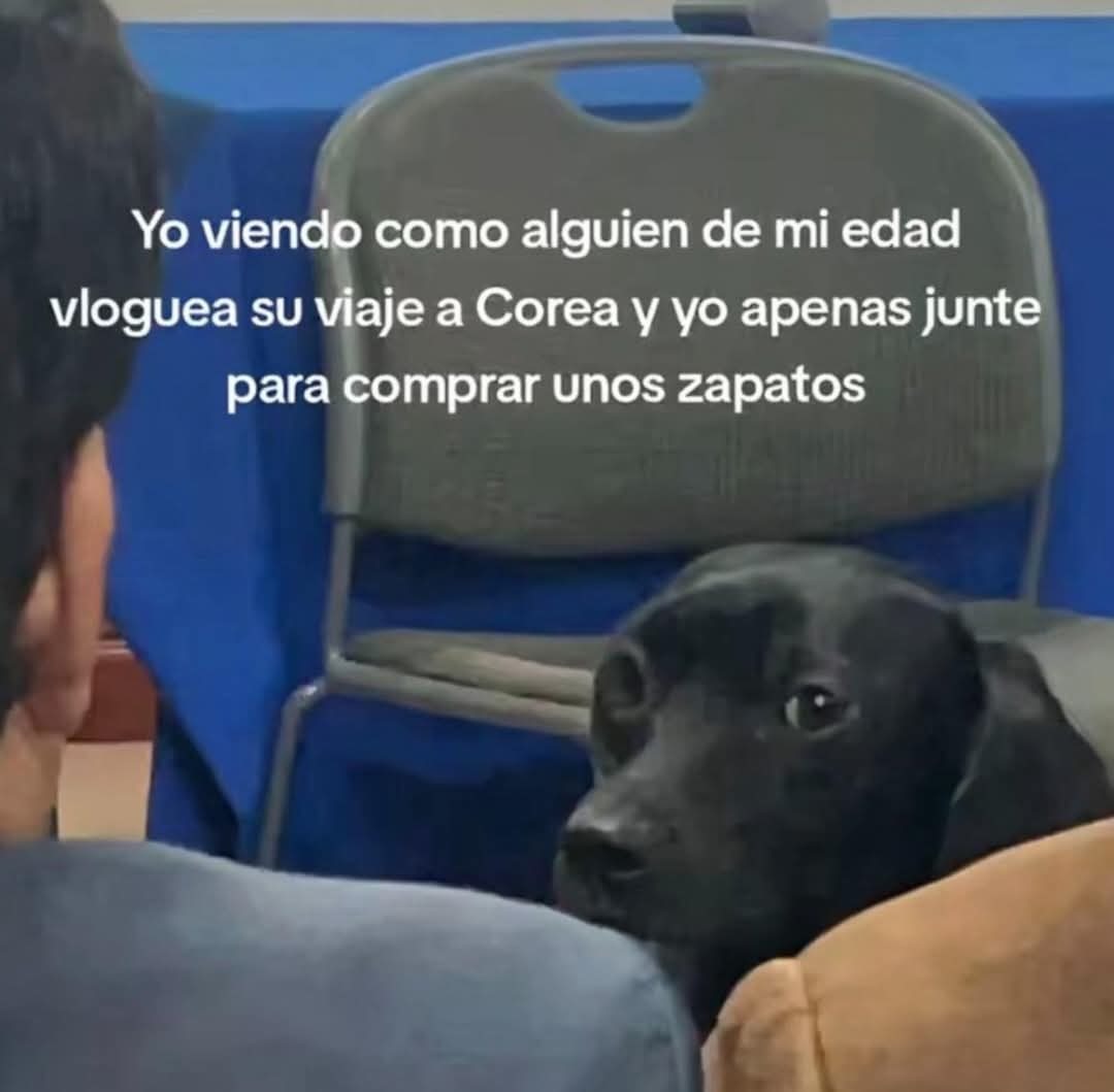 Viendo a gente de mi edad viajando y yo con mis zapatos nuevos - meme