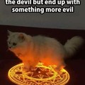 Cats are evil !!!