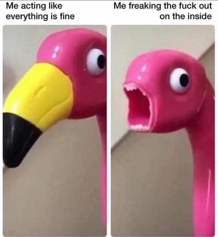 plastic flamingo - meme