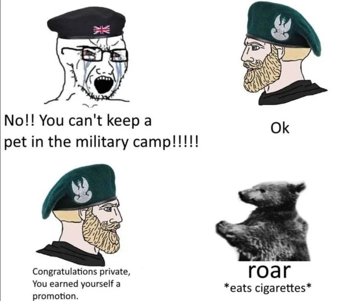 Corporal Wojtek - meme