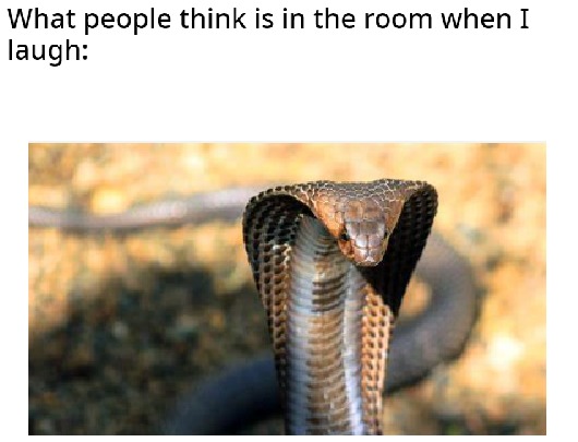 The best Snake memes :) Memedroid
