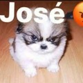 Jose