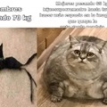 commented item thumbnail
