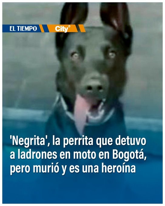 Negrita la perra heroína - meme