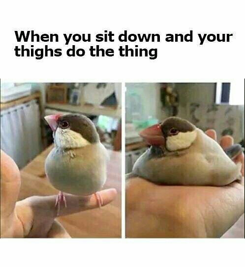 Title has thicccc thighs - meme