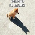 Doggo Batman