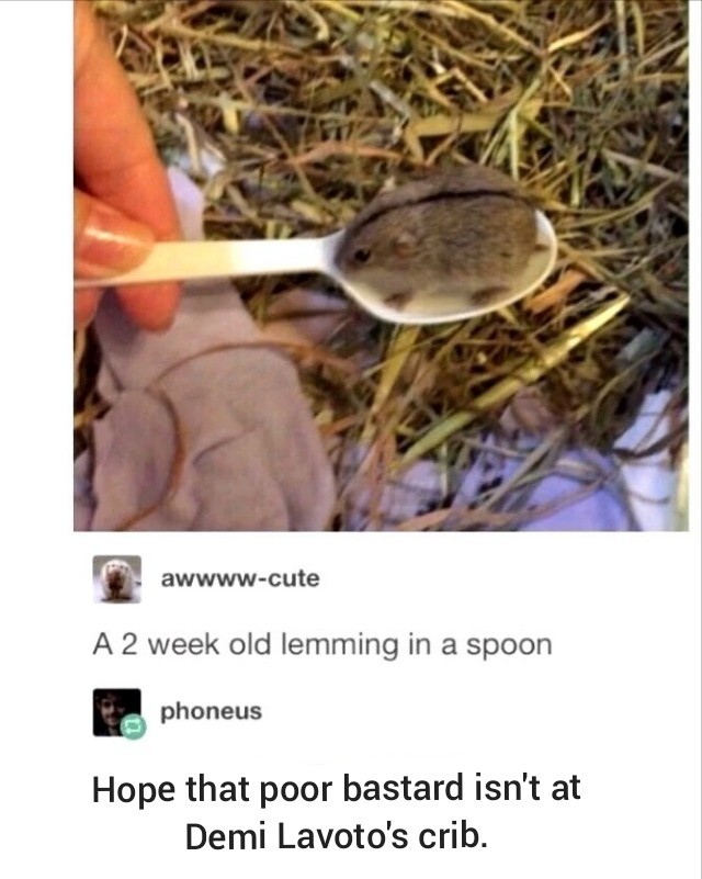 Hot lemmings - meme