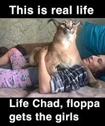Floopa Gets The Girls. - meme