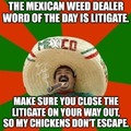 Mexican weed dealer word of the day