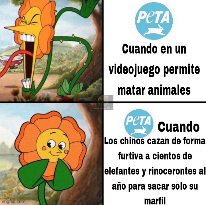 Típico - meme