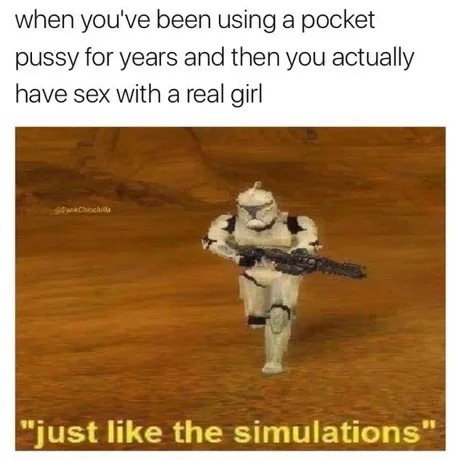 Funny pussy meme