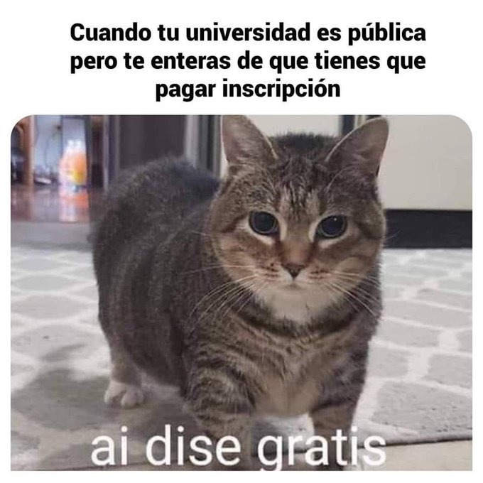 Señores ahi dice que si es pública ya está pagada - meme