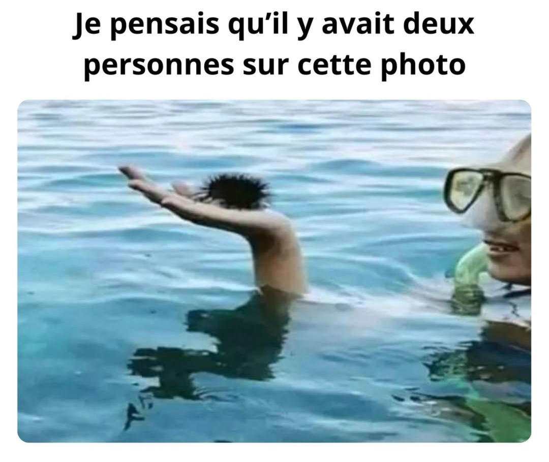 J'étais sûr qu’ils étaient deux sur la photo, j'ai peur maintenant - meme