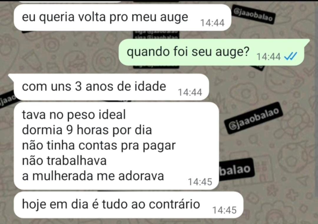 Foda - meme