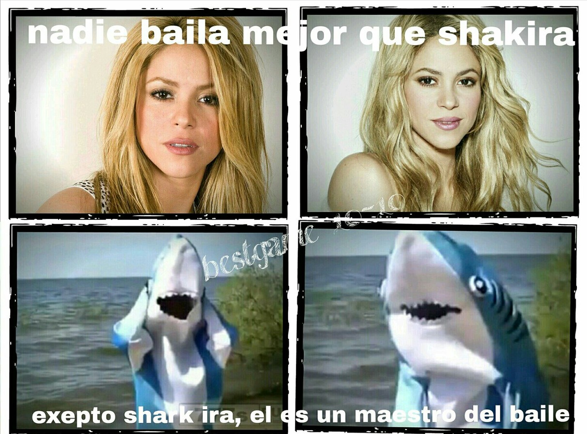 Shark ira - meme