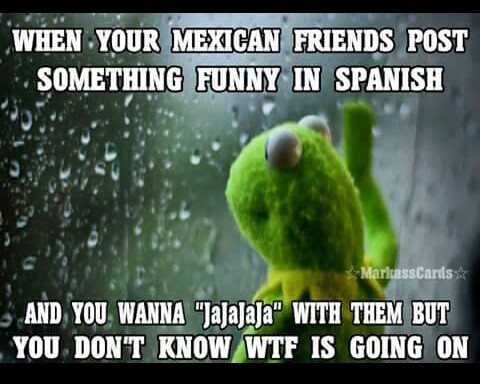 Bilingual bitches - meme