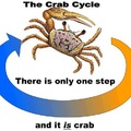 The only step is crab