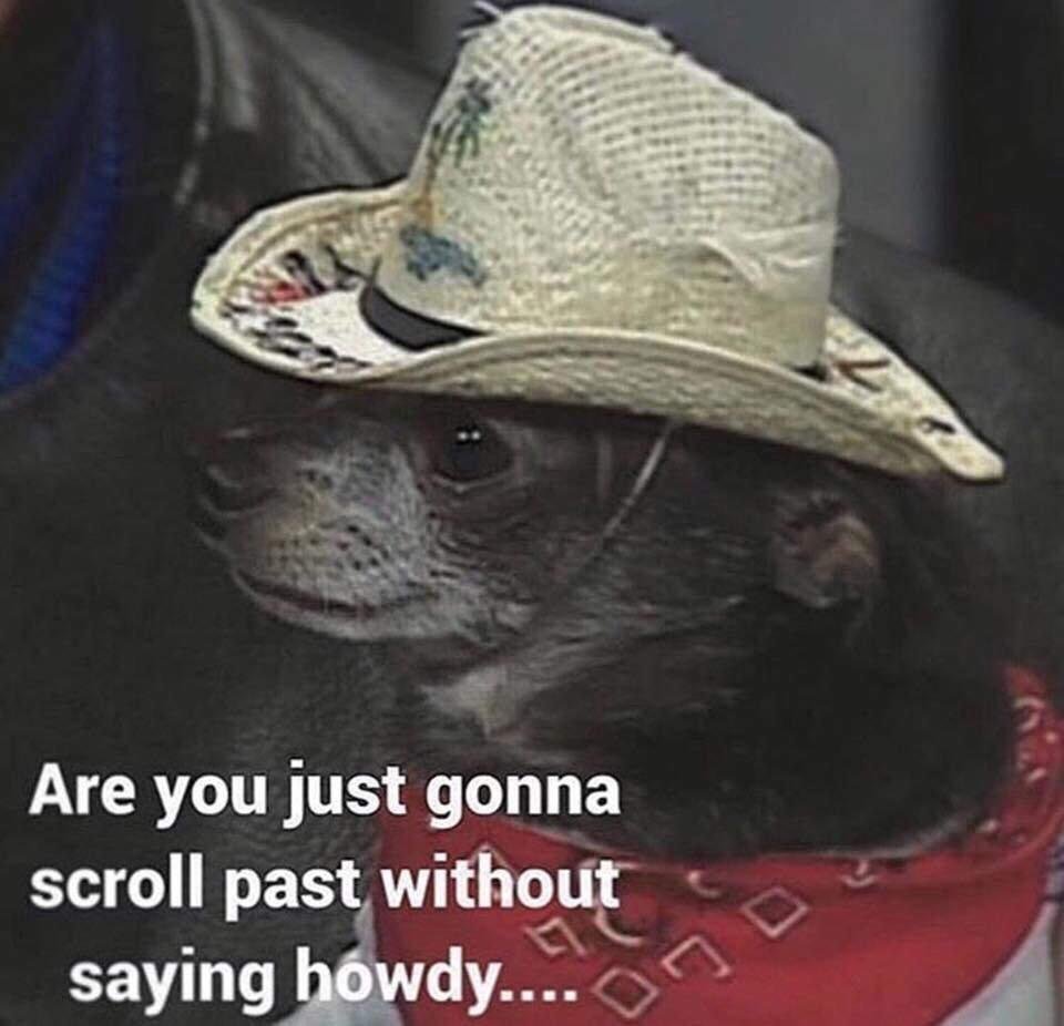 Howdy - meme