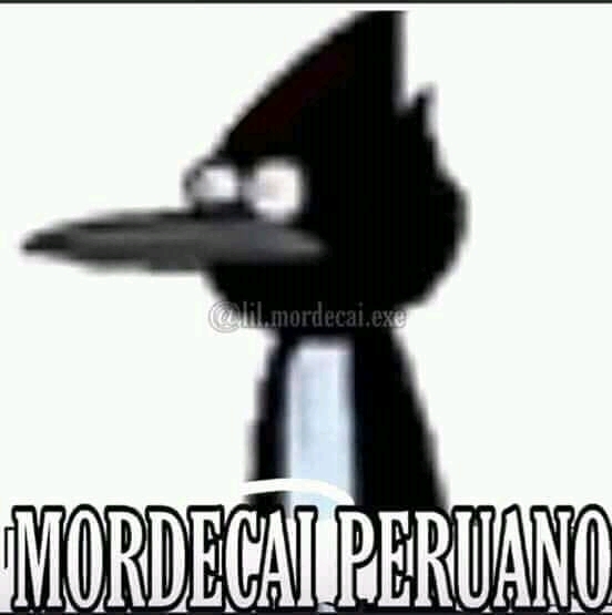 Mordecai Peruano - meme