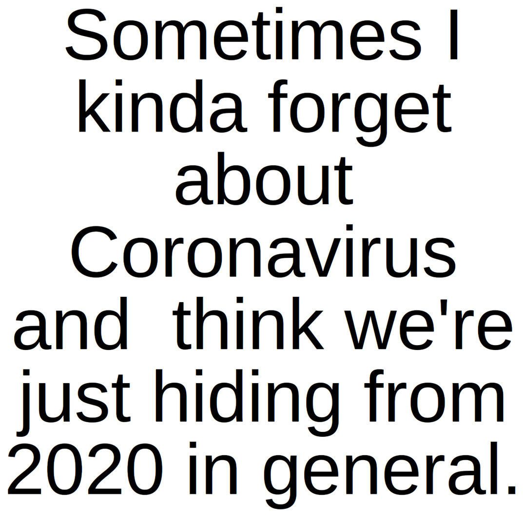 This is just 2020. Covid is really the only thing thats had a real direct effect on me since I don't really live in a very exciting area - meme