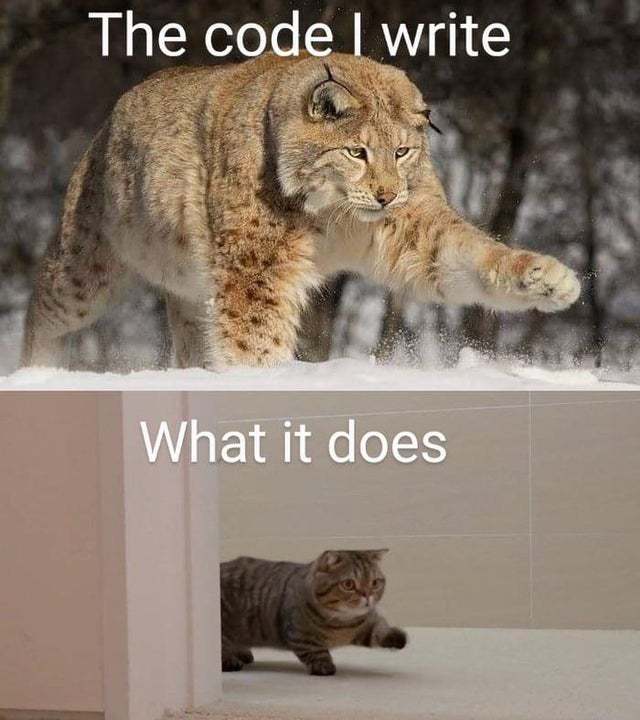 The code I write and what it does - meme