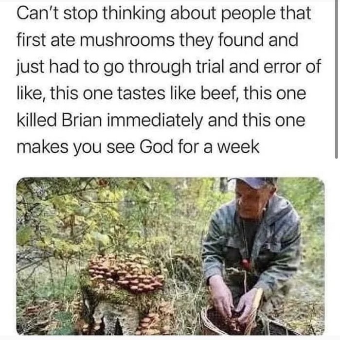 Bad luck Brian - meme