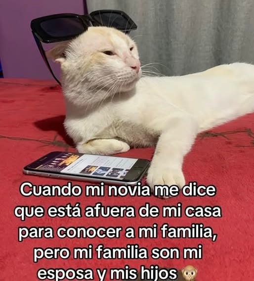 ella afuera con ganas de conocer a mi familia... pero mi familia es mi esposa y mis hijos - meme