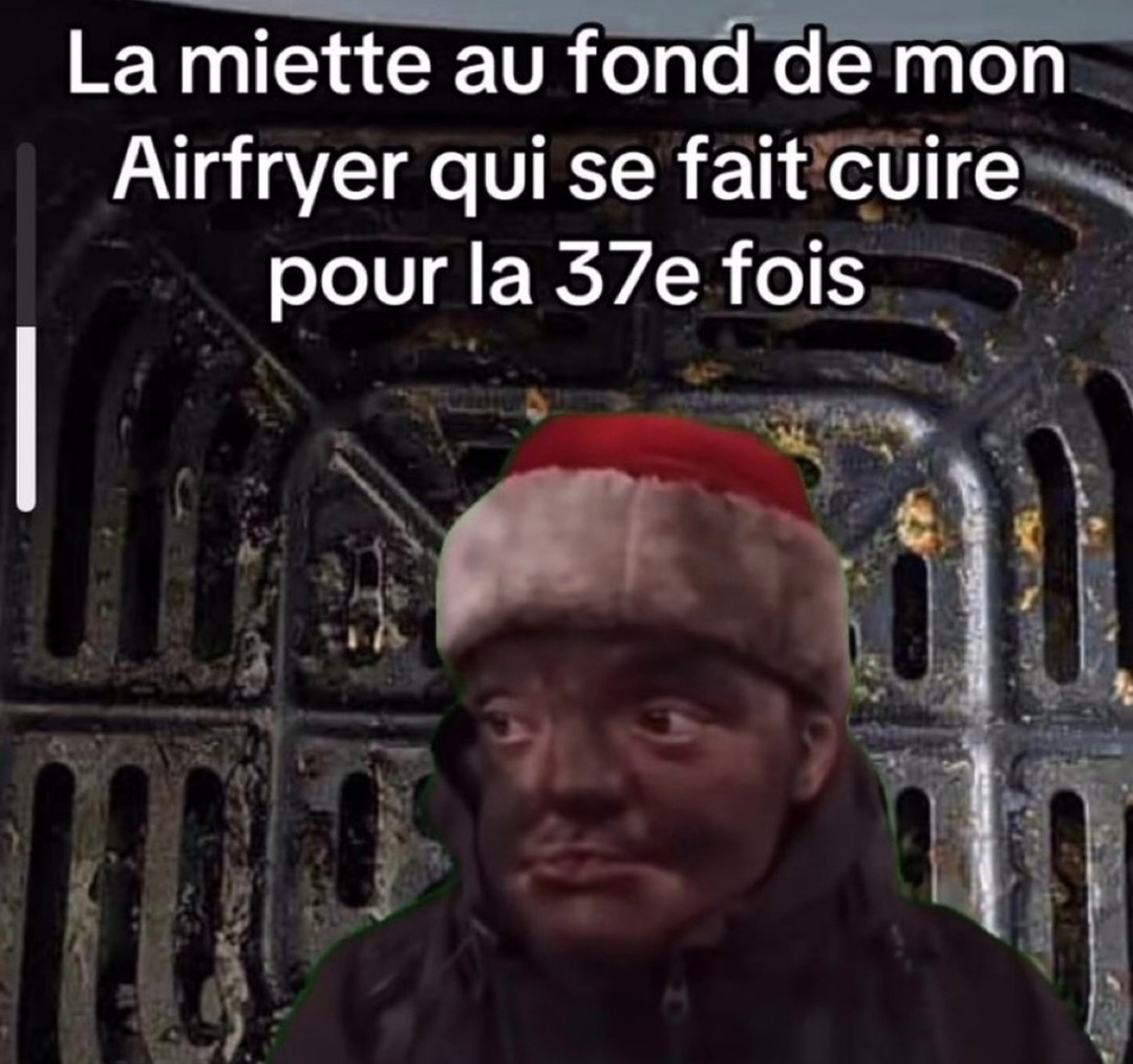 Cette pauvre miette dans mon Airfryer vit l’enfer depuis 2022 - meme