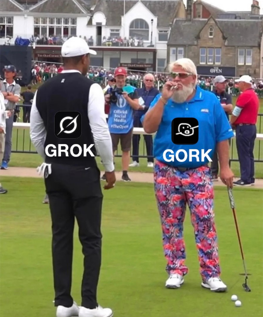 MTN Oertal? Nah bro, it’s just GROK GORK energy - meme