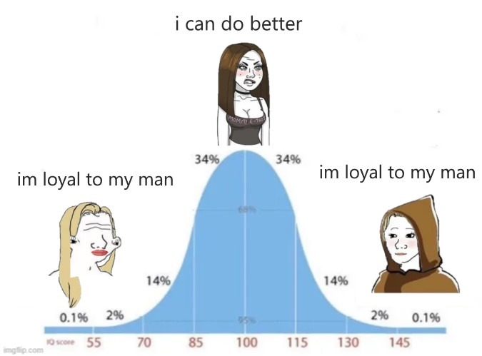 basic bitch - meme
