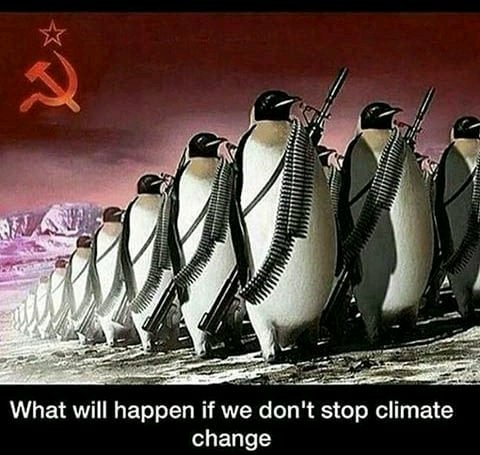 I warned yall of the penguin uprising - meme