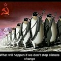 I warned yall of the penguin uprising