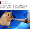 cops fired after blaming missing half-ton of pot on stoner mice