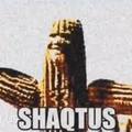 Shaqtus