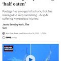 News from Australia we have zombie sharks now