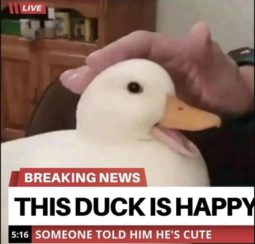 you should be as happy as this duck - meme