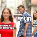 My cat is not the only one